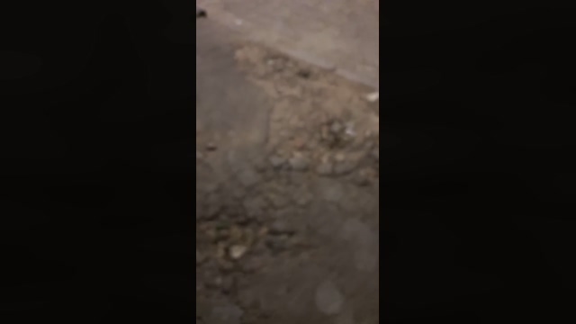 FocuspPE  20-03-2022